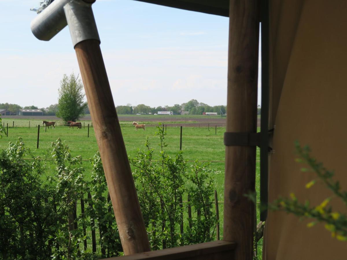 Luxe Safaritenten Petit013 - Nieuw Tilburg Ngoại thất bức ảnh
