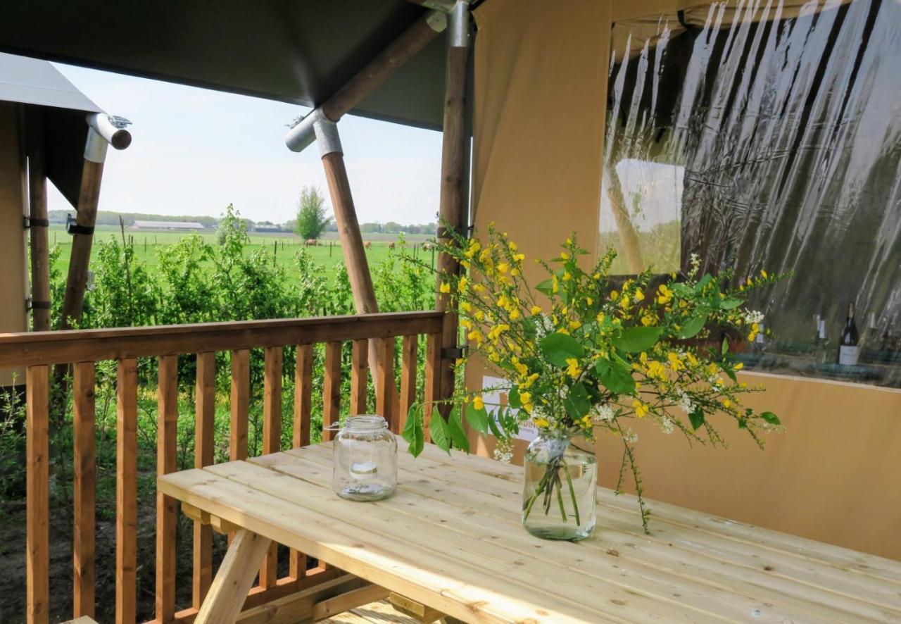 Luxe Safaritenten Petit013 - Nieuw Tilburg Ngoại thất bức ảnh