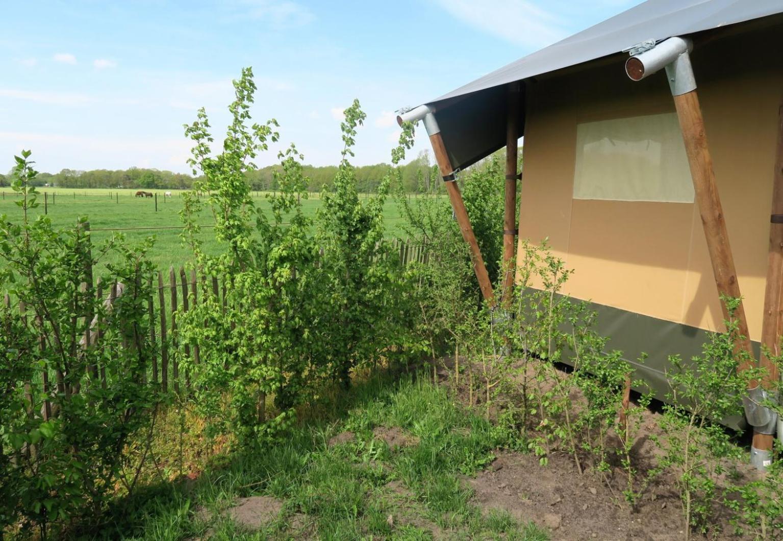 Luxe Safaritenten Petit013 - Nieuw Tilburg Phòng bức ảnh